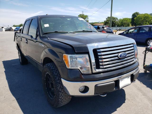 FORD F150 SUPER 2010 with VIN 1FTFW1EVXAFD44484 - Photo from auction