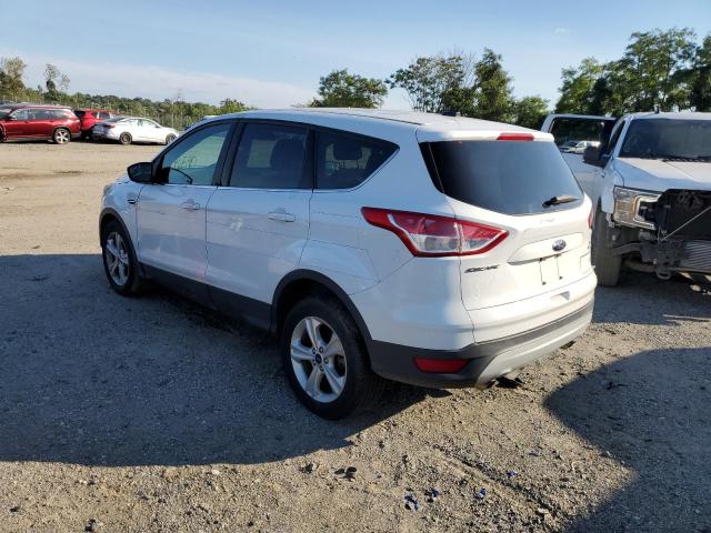 Photo 3 from auction – 2014 FORD ESCAPE SE with VIN 1FMCU9GX7EUC01091