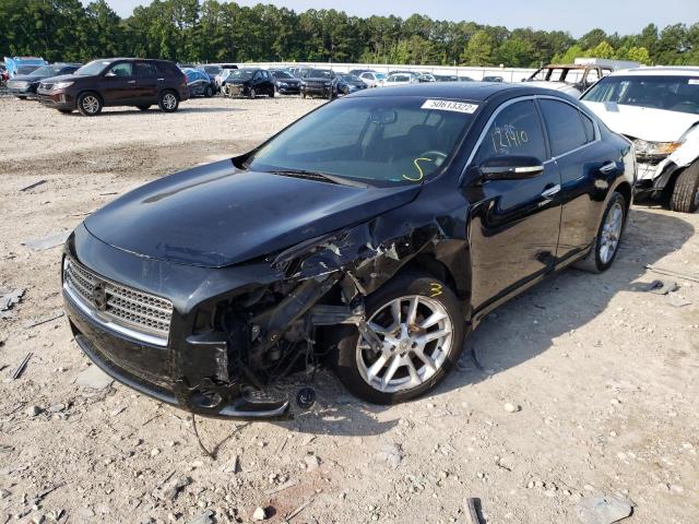 Photo 2 from auction – 2009 NISSAN MAXIMA S with VIN 1N4AA51E89C833698