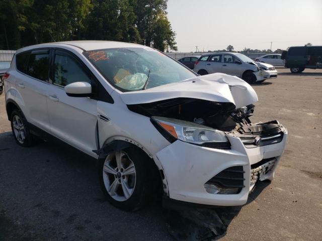 FORD ESCAPE SE 2014 with VIN 1FMCU0GX4EUA89250 - Photo from auction