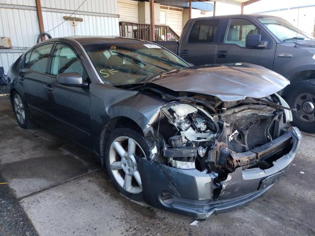 NISSAN MAXIMA SE 2005 with VIN 1N4BA41E85C853541 - Photo from auction