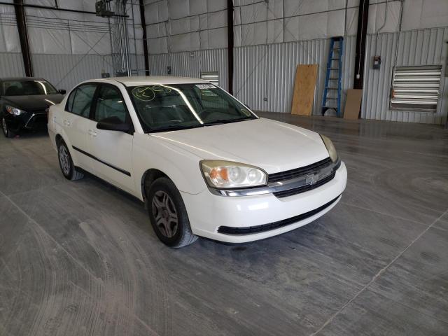 CHEVROLET MALIBU 2004 with VIN 1G1ZS52F84F131186 - Photo from auction
