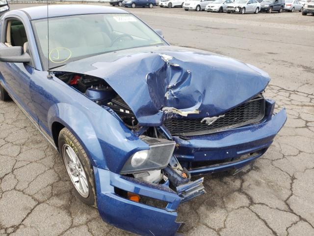 Photo 9 from auction – 2007 FORD MUSTANG with VIN 1ZVFT80N875321712