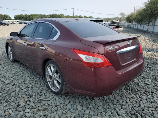 Photo 3 from auction – 2010 NISSAN MAXIMA S with VIN 1N4AA5AP7AC849803