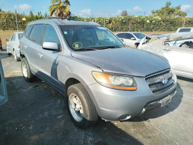 HYUNDAI SANTA FE G 2007 with VIN 5NMSG13D87H069344 - Photo from auction