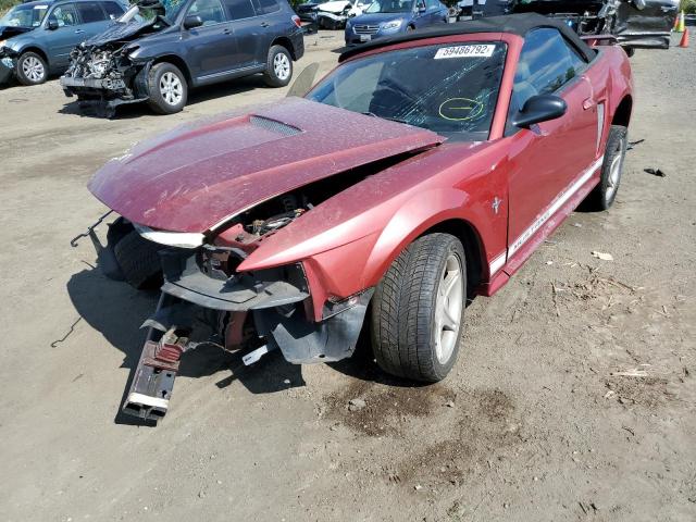 Photo 2 from auction – 2002 FORD MUSTANG with VIN 1FAFP44402F150724