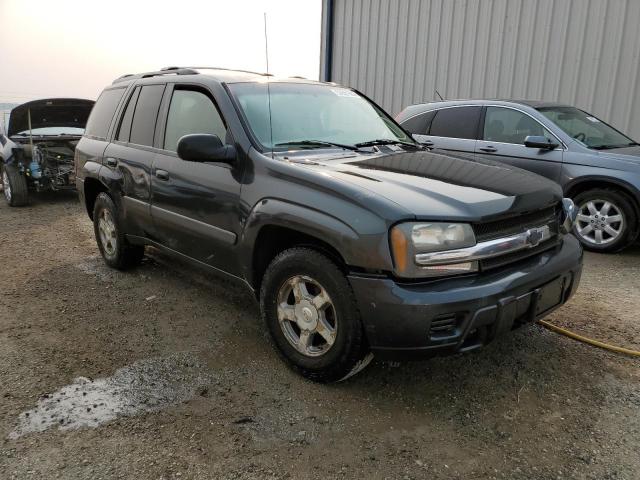 CHEVROLET TRAILBLAZE 2005 with VIN 1GNDT13S752239561 - Photo from auction