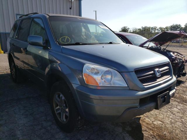 HONDA PILOT EXL 2005 with VIN 5FNYF18645B022091 - Photo from auction