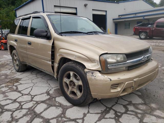 Photo 1 from auction – 2006 CHEVROLET TRAILBLAZE with VIN 1GNDT13S062355671