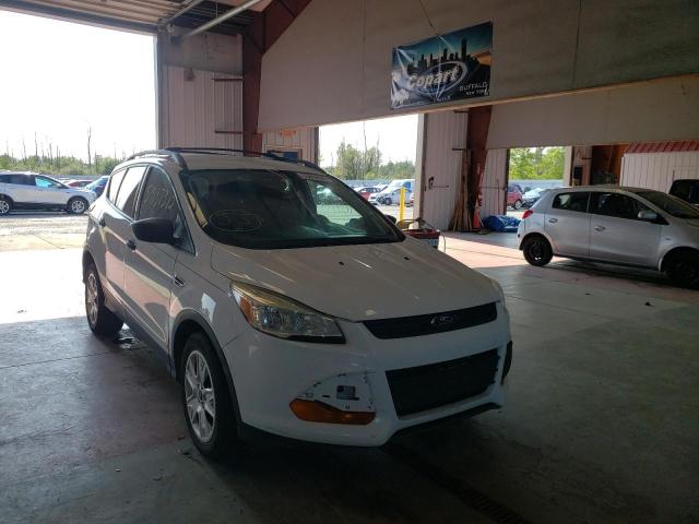 FORD ESCAPE S 2014 with VIN 1FMCU0F77EUB50642 - Photo from auction