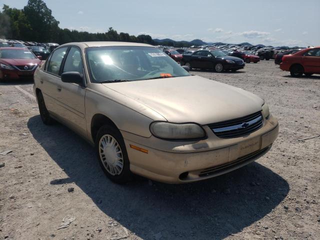CHEVROLET MALIBU 2002 with VIN 1G1ND52J82M546045 - Photo from auction