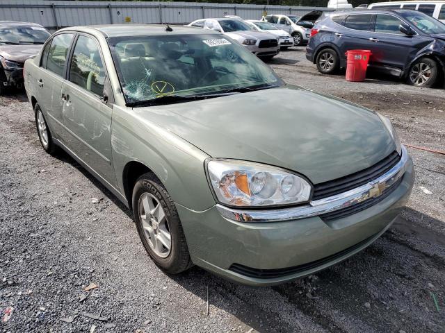 CHEVROLET MALIBU 2005 with VIN 1G1ZS52F05F263313 - Photo from auction