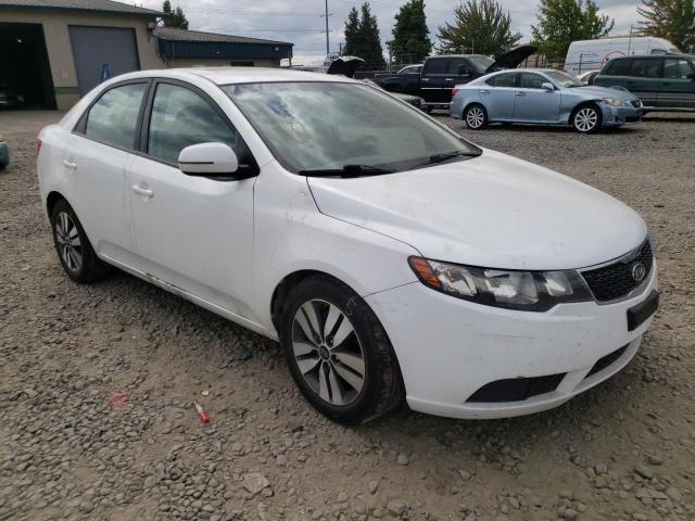 KIA FORTE EX 2013 z numerem VIN KNAFU4A25D5733690 - Zdjęcie z aukcji