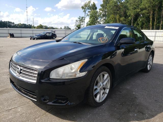 Photo 2 from auction – 2010 NISSAN MAXIMA S with VIN 1N4AA5AP5AC838721