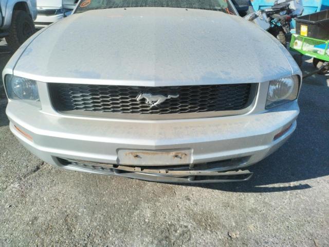 Photo 9 from auction – 2009 FORD MUSTANG with VIN 1ZVHT80N595100449