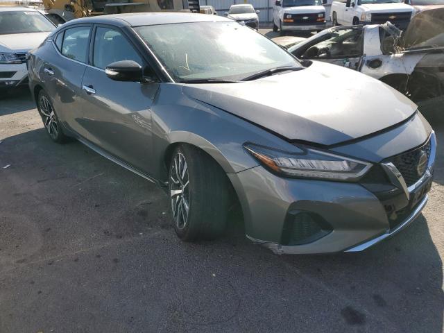 NISSAN MAXIMA SV 2022 with VIN 1N4AA6CV0NC503146 - Photo from auction