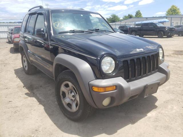 Photo 1 from auction – 2003 JEEP LIBERTY SP with VIN 1J4GL48K33W720567
