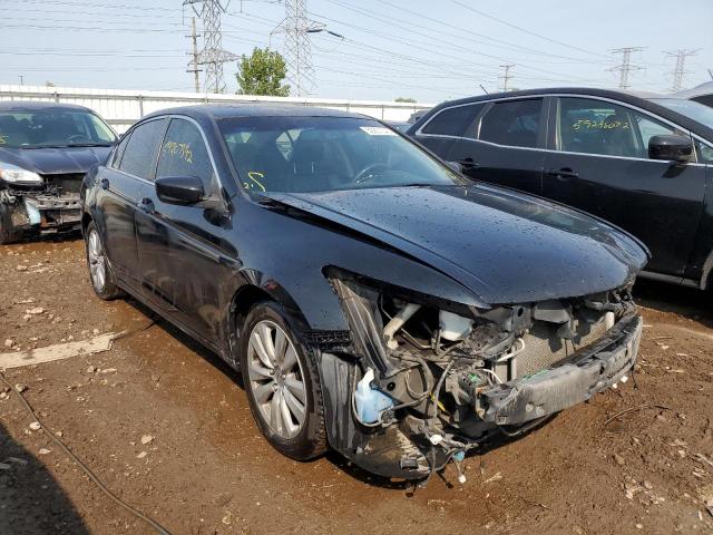 HONDA ACCORD EXL 2011 with VIN 1HGCP2F85BA029042 - Photo from auction