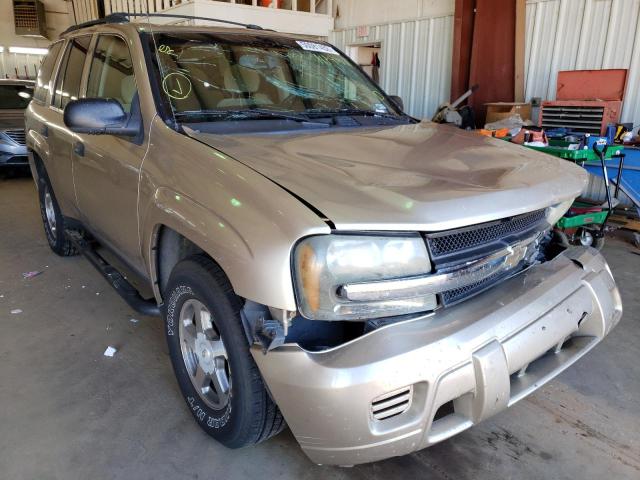 CHEVROLET TRAILBLAZE 2006 with VIN 1GNDS13S062111991 - Photo from auction