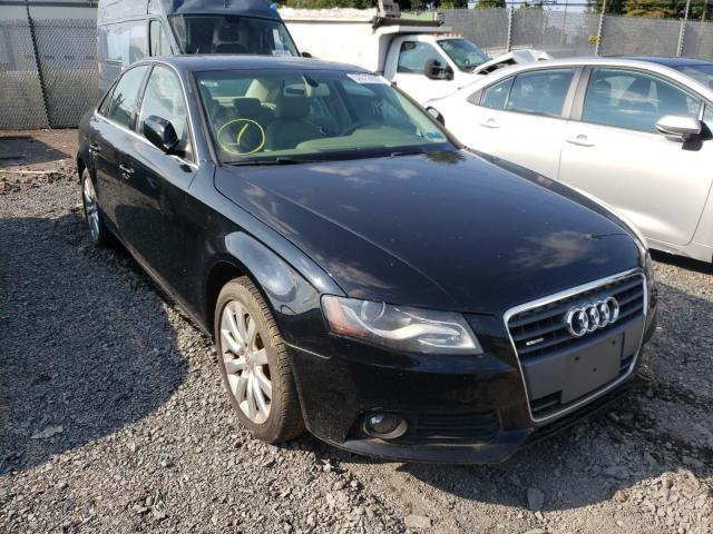 AUDI A4 PREMIUM 2010 with VIN WAUFFAFL3AN035116 - Photo from auction