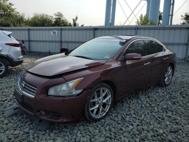 Photo 2 from auction – 2010 NISSAN MAXIMA S with VIN 1N4AA5AP7AC849803