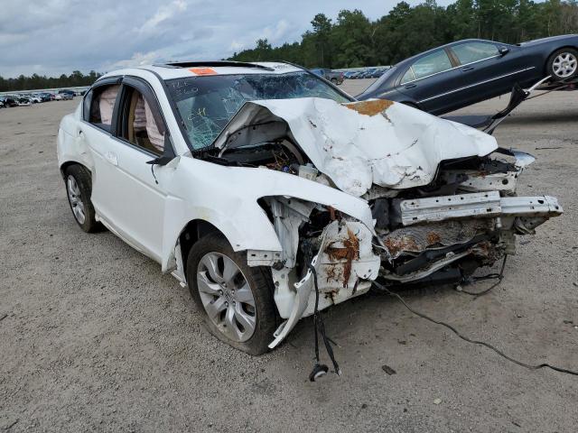 HONDA ACCORD EXL 2010 with VIN 1HGCP2F86AA138043 - Photo from auction