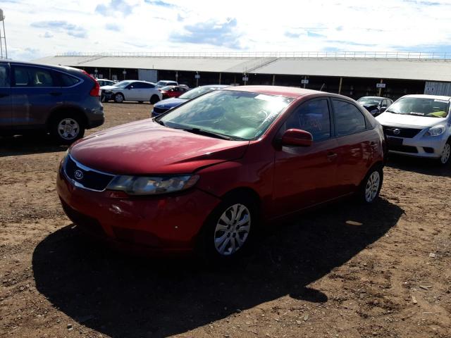 Photo 2 from auction – 2012 KIA FORTE EX with VIN KNAFU4A26C5574550