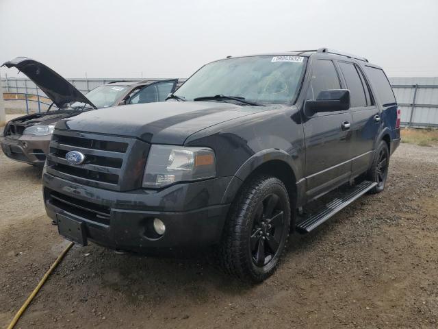 Photo 2 from auction – 2010 FORD EXPEDITION with VIN 1FMJU2A59AEA28927