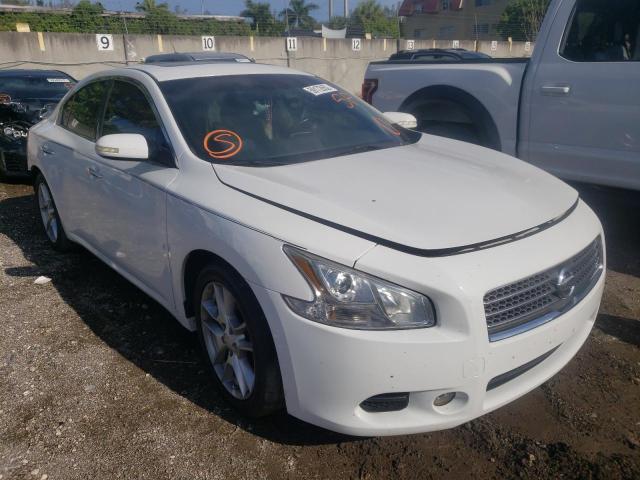 NISSAN MAXIMA S 2010 with VIN 1N4AA5AP1AC812021 - Photo from auction