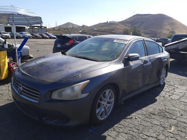 Photo 2 from auction – 2009 NISSAN MAXIMA S with VIN 1N4AA51E49C851969
