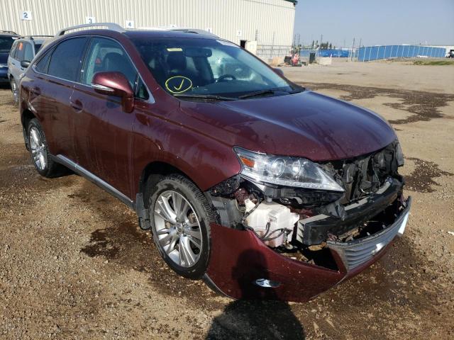 LEXUS RX 350 BAS 2014 with VIN 2T2BK1BA0EC230676 - Photo from auction