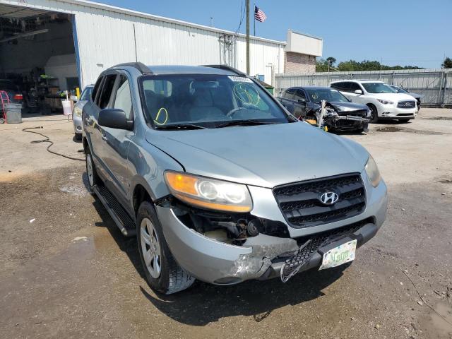 HYUNDAI SANTA FE G 2009 with VIN 5NMSG13D09H260615 - Photo from auction
