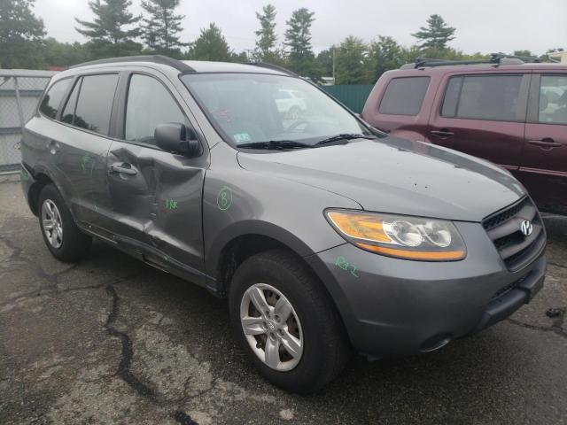 HYUNDAI SANTA FE G 2009 with VIN 5NMSG13D89H309110 - Photo from auction