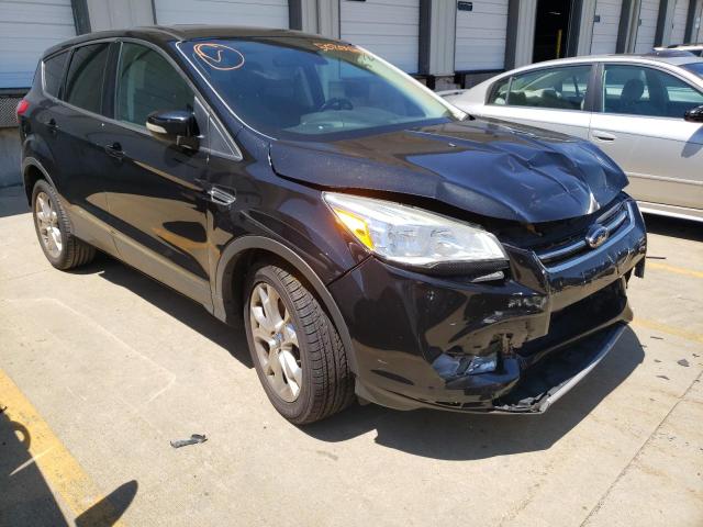 FORD ESCAPE SEL 2013 with VIN 1FMCU0H93DUA29720 - Photo from auction