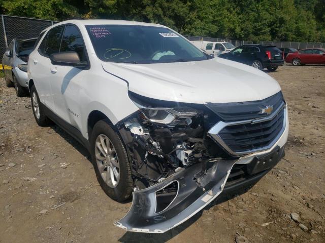 CHEVROLET EQUINOX LS 2019 with VIN 2GNAXHEV3K6268206 - Photo from auction