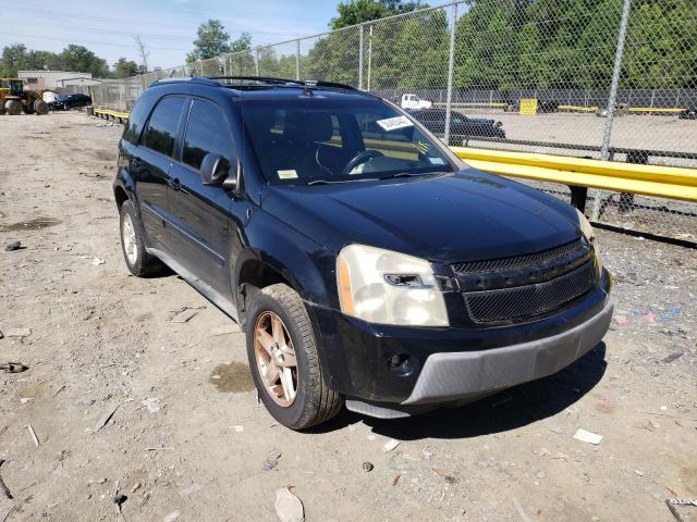 CHEVROLET EQUINOX LT 2005 with VIN 2CNDL73F256182943 - Photo from auction