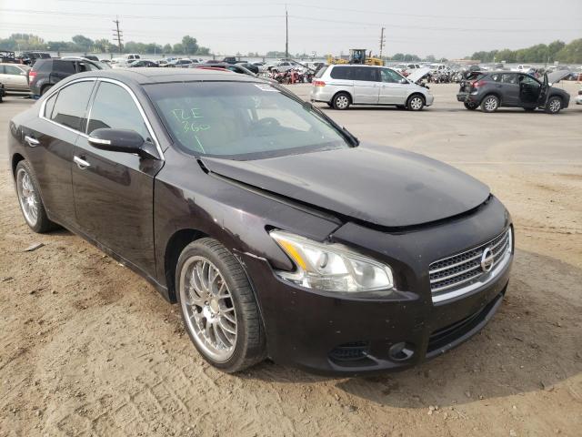 NISSAN MAXIMA S 2011 with VIN 1N4AA5AP2BC851864 - Photo from auction