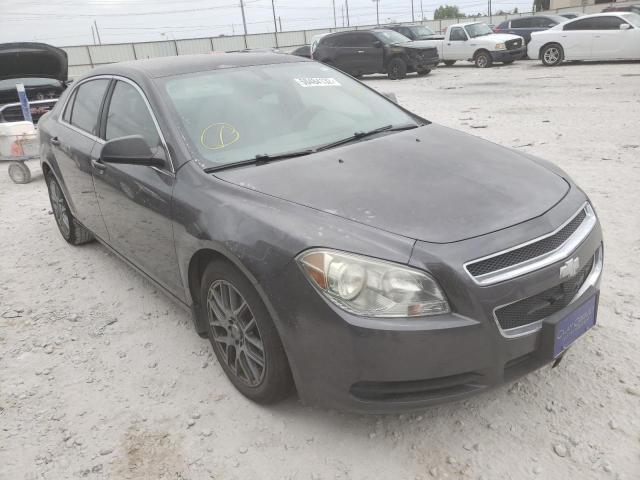 CHEVROLET MALIBU LS 2010 with VIN 1G1ZB5EBXA4155344 - Photo from auction