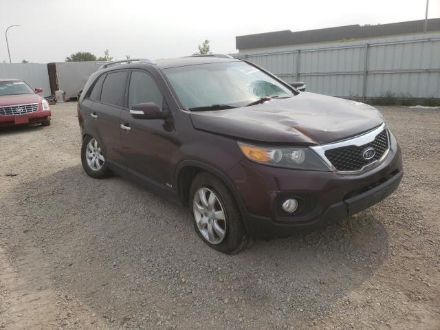 KIA SORENTO BA 2011 with VIN 5XYKTDA12BG141423 - Photo from auction