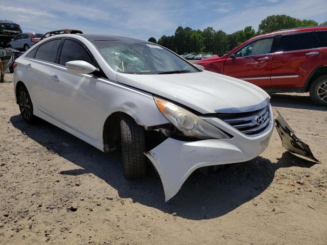 HYUNDAI SONATA SE 2014 with VIN 5NPEC4AC0EH862240 - Photo from auction