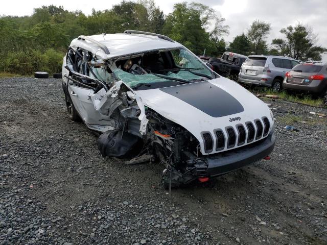 JEEP CHEROKEE T 2016 with VIN 1C4PJMBS2GW289407 - Photo from auction