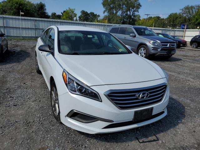 HYUNDAI SONATA SE 2016 with VIN 5NPE24AF1GH296301 - Photo from auction