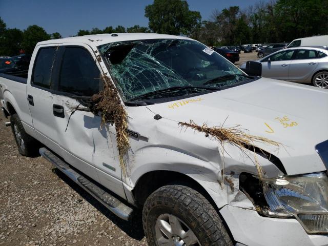 Photo 9 from auction – 2013 FORD F150 SUPER with VIN 1FTFW1ET6DFD40676