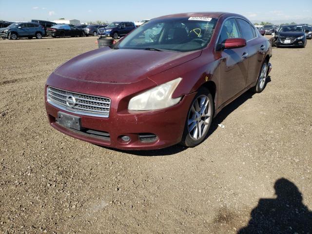 Photo 2 from auction – 2010 NISSAN MAXIMA S with VIN 1N4AA5AP6AC814329