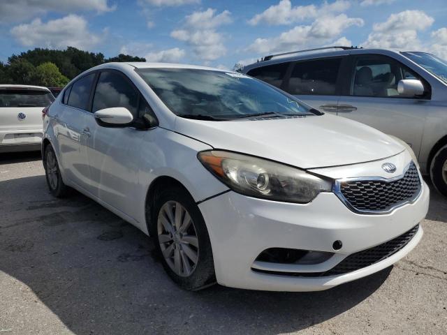 KIA FORTE EX 2014 with VIN KNAFX4A88E5139060 - Photo from auction