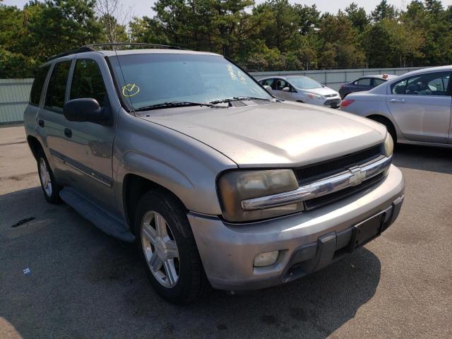 CHEVROLET TRAILBLAZE 2002 with VIN 1GNDT13SX22210759 - Photo from auction