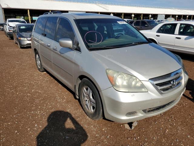 HONDA ODYSSEY EX 2006 with VIN 5FNRL38706B050599 - Photo from auction