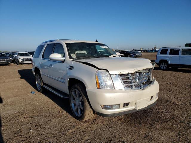 CADILLAC ESCALADE L 2007 with VIN 1GYFK63847R350255 - Photo from auction