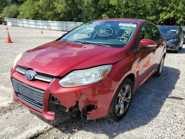 Photo 2 from auction – 2013 FORD FOCUS SE with VIN 1FADP3F20DL216142
