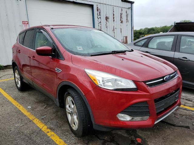 FORD ESCAPE SE 2013 with VIN 1FMCU0G9XDUD49960 - Photo from auction